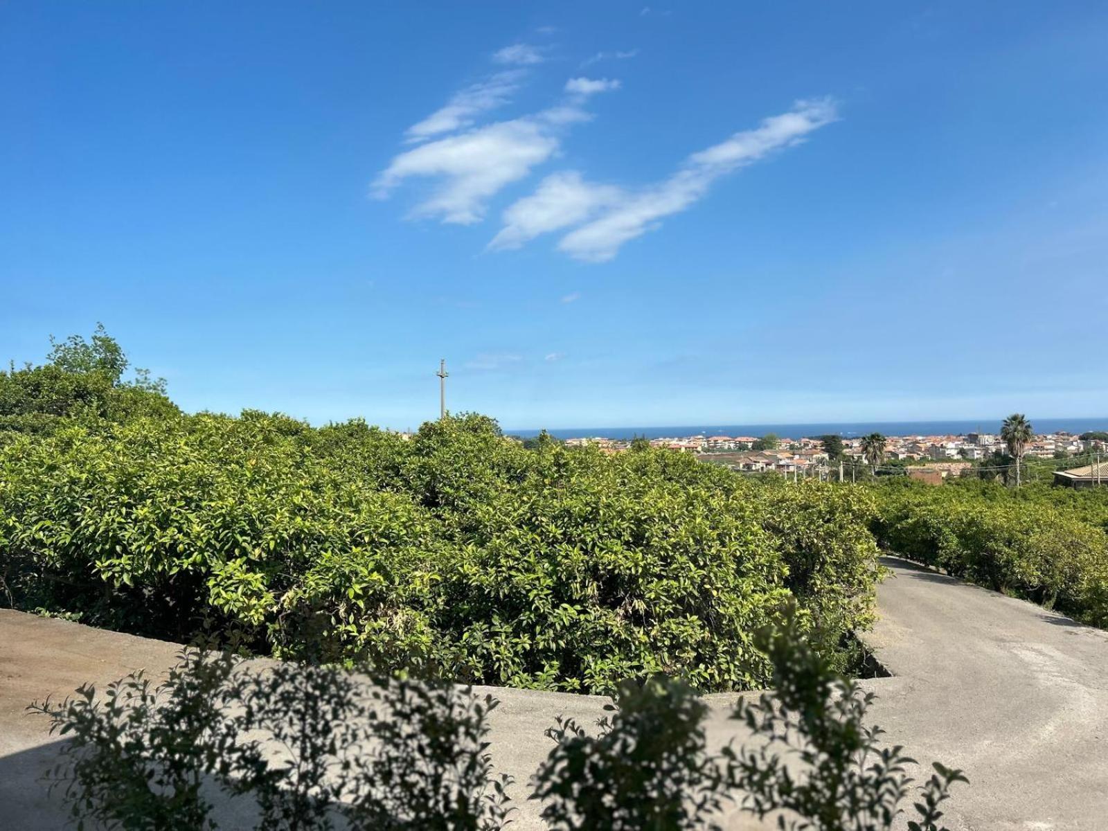 Villa Iiulia Hills Фиумефредо ди Сицилия Екстериор снимка